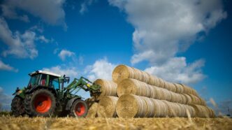 Un Imprenditore Agricolo Di Al