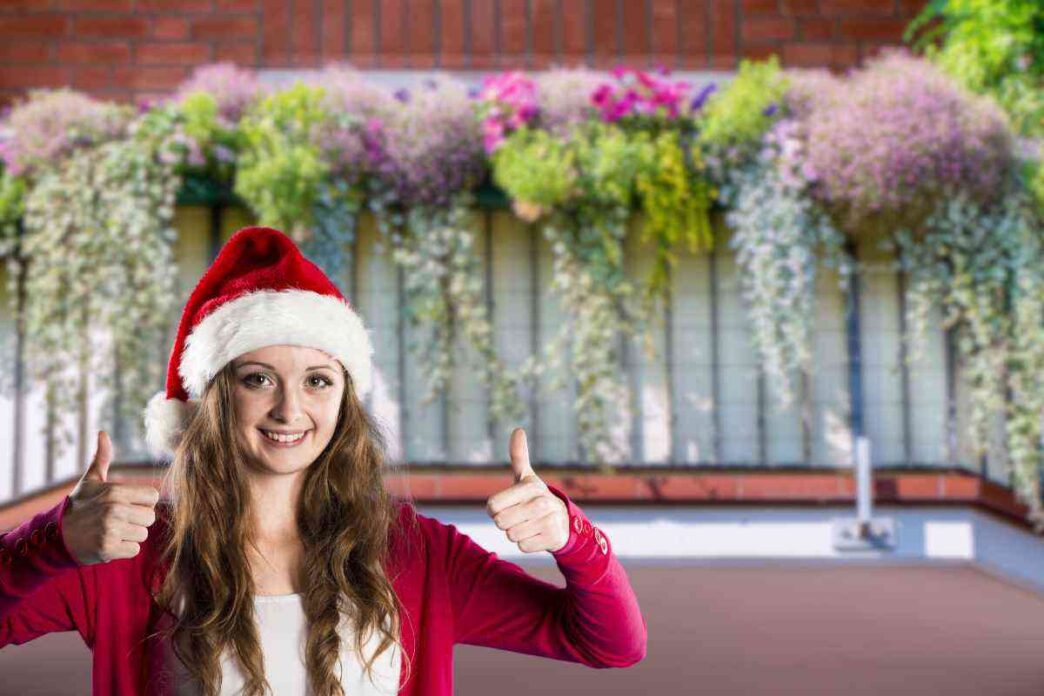 Piante Per Balcone Di Natale