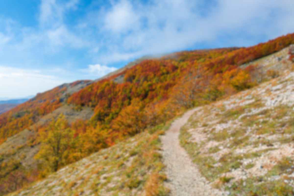 A due passi da Roma tra natura e divertimento: l’attrazione imperdibile che fa felice tutta la famiglia