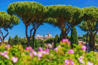 nuova apertura roseto di roma