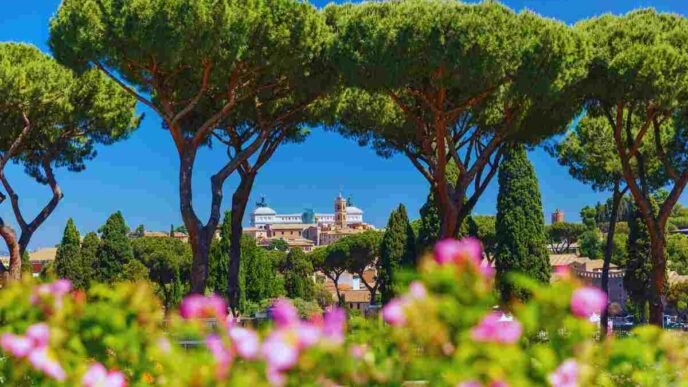 nuova apertura roseto di roma