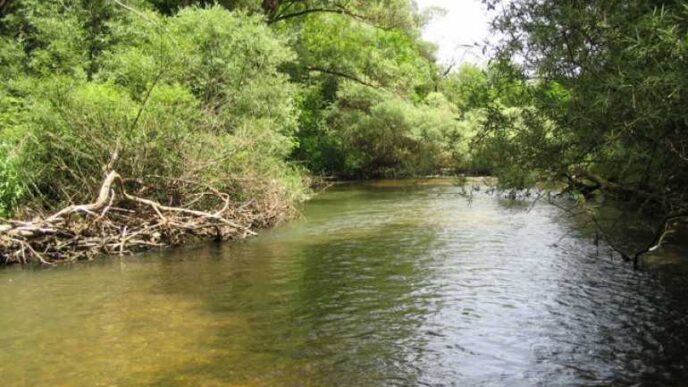 Abruzzo3A Salvataggio Della Bio