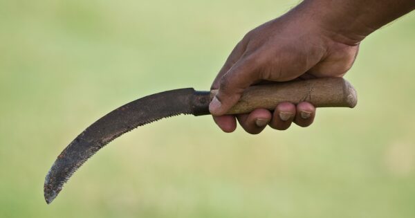 Aggressione a Caluso: un imprenditore agricolo ferito in una violenta lite per terreni