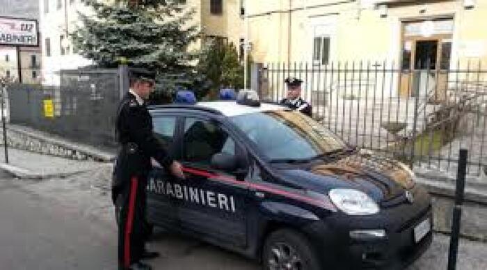 Aggressione di una donna da parte di cani allerta Castel di Sangro: si indaga