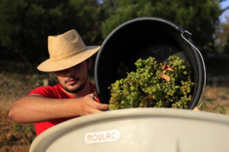 Agricoltura e Futuro3A Il 6425 d