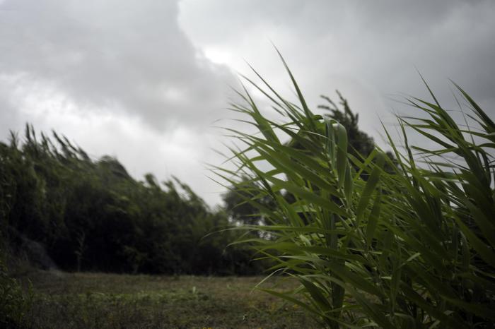 Allerta meteo nelle Marche: venti forti e misure di sicurezza da domenica 20 novembre