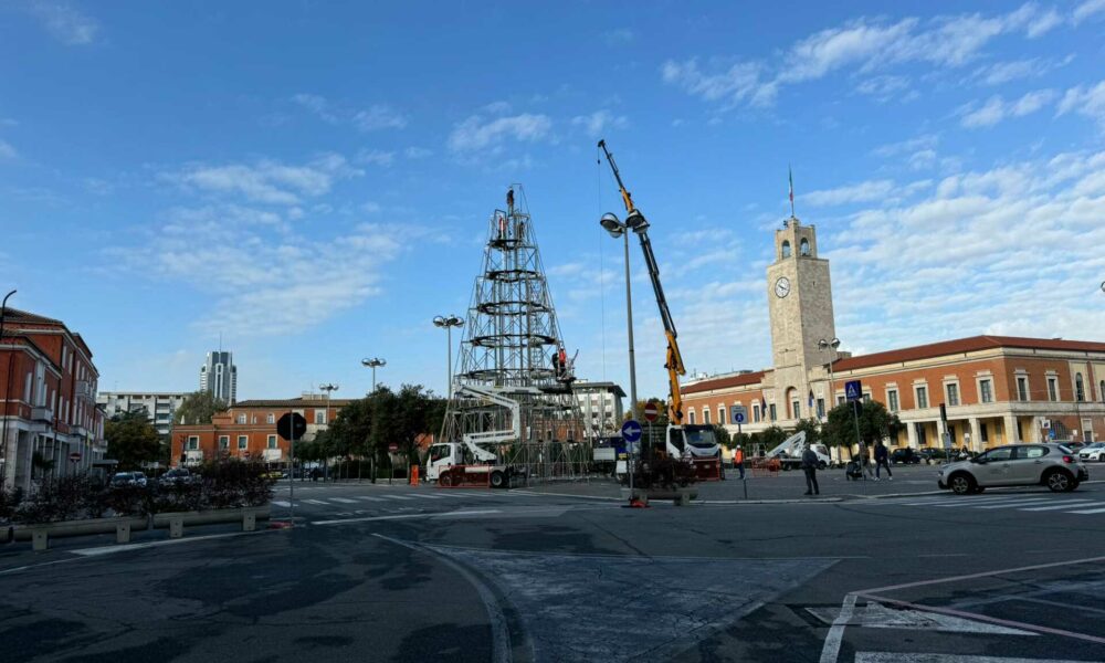 Allestimento dell’albero di Natale a Latina: il progetto è in fase di completamento