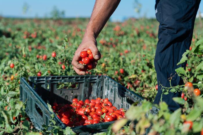 Black Friday: NaturaSì contro il consumismo con l’evento “Spesa consapevole” per l’ambiente