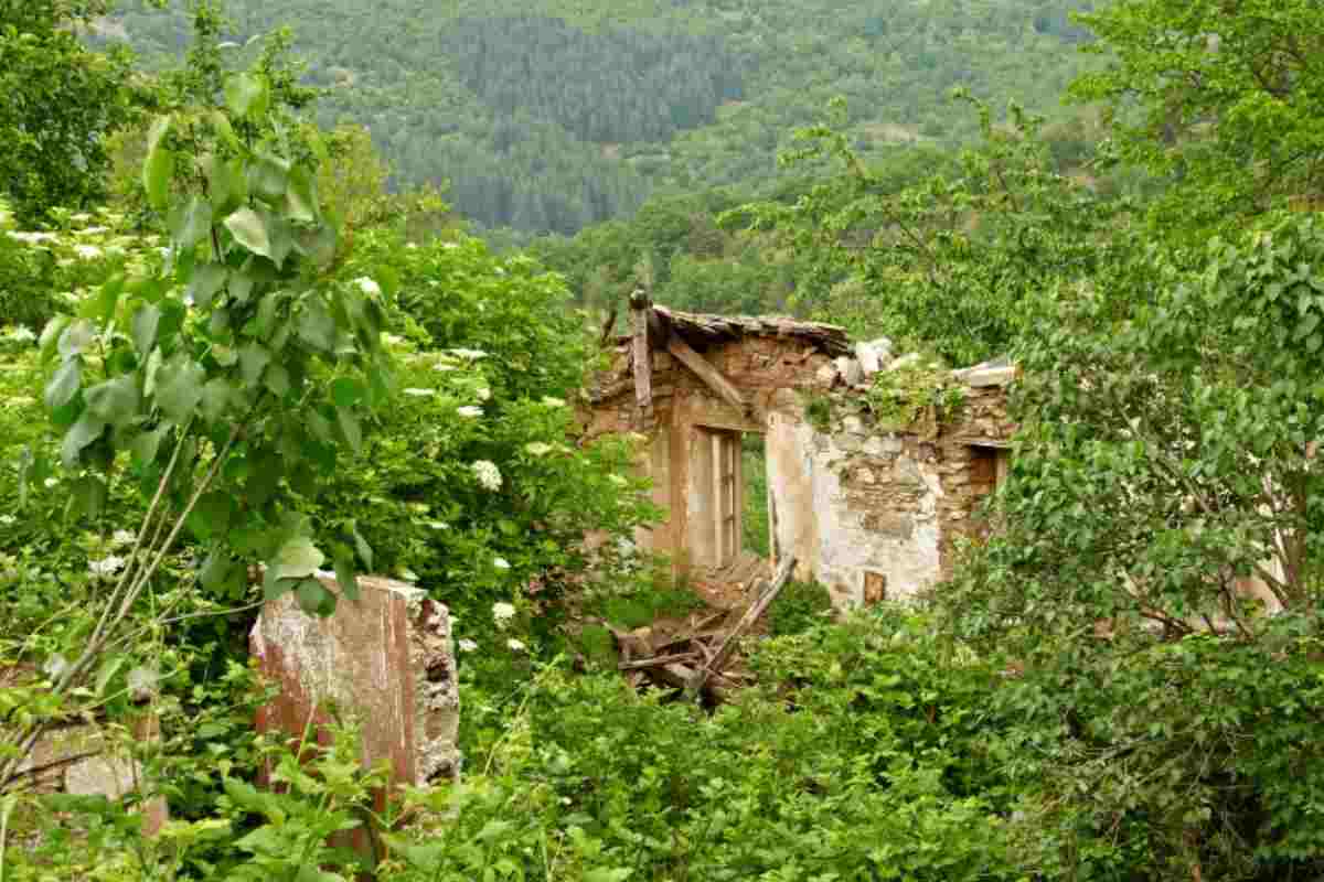 Faraone Antico, Abruzzo