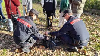 Carabinieri E Studenti Uniti P