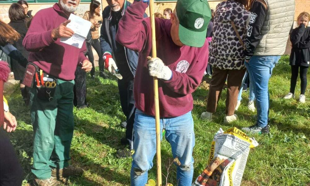 Celebrare la giornata nazionale degli alberi a Latina: attività educative e piantumazioni