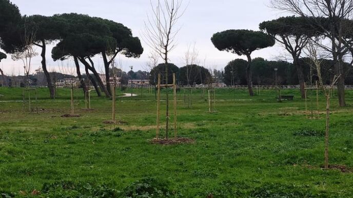 Celebrazione Degli Alberi3A Il