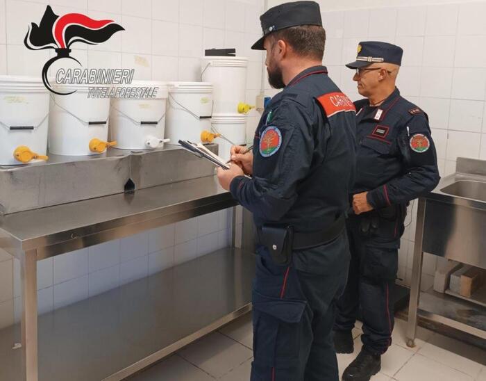 Controlli agroalimentari in Campania: sanzioni per oltre 80mila euro in un’operazione contro le frodi