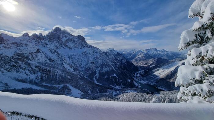 Controversia A Selva Di Cadore