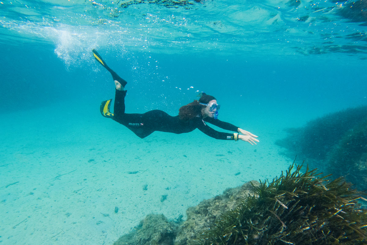 Cresce SEATY: il progetto di conservazione marina in Sardegna e Sicilia conquista il pubblico