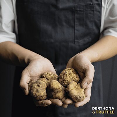 Derthona & Truffle: L’evento che celebra il tartufo e il vino autoctono a Tortona