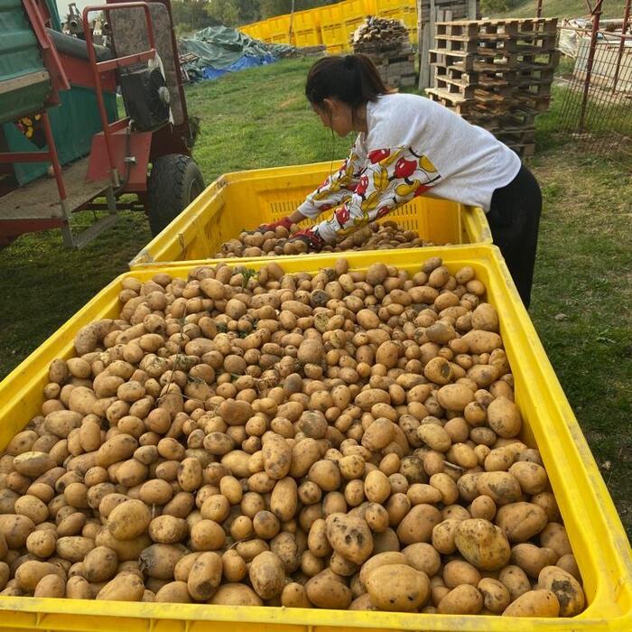 Due sorelle bolognesi rivoluzionano l’agricoltura con Cà dei Ribelli e le coltivazioni energetiche