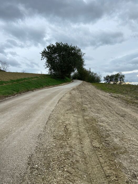 Fano: proseguono i lavori di manutenzione per ripristinare il territorio