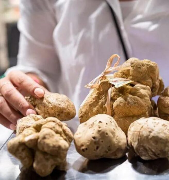 Fiera Internazionale del Tartufo Bianco d’Alba: un weekend di sapori e tradizioni