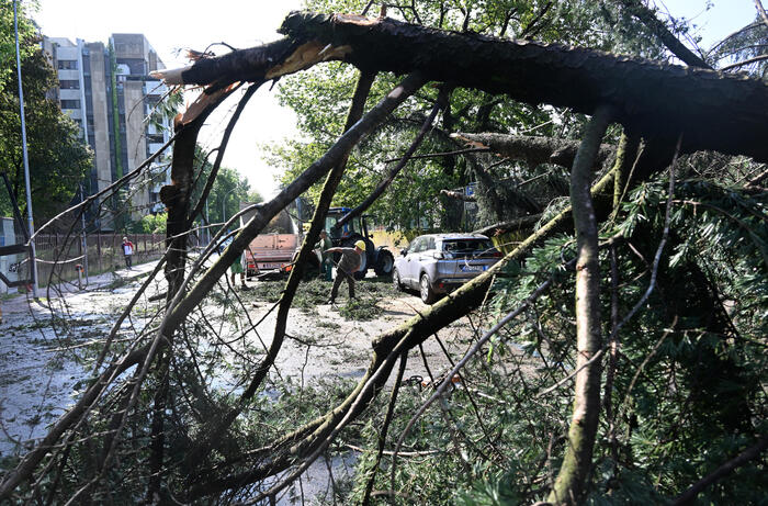 Forti raffiche di vento devastano l’Imperiese: danni e interventi dei vigili del fuoco