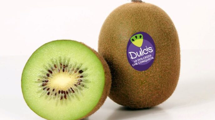 Il Kiwi Dulcisc2Ae Di Forlc3Ac3A Una