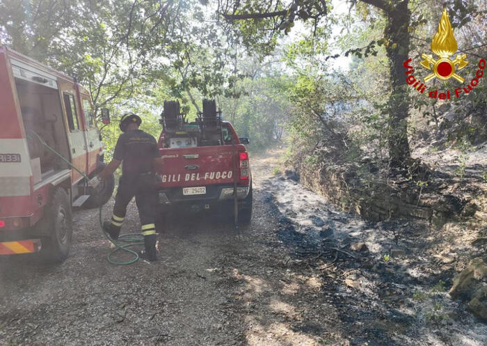 Incendio boschivo a Santo Stef