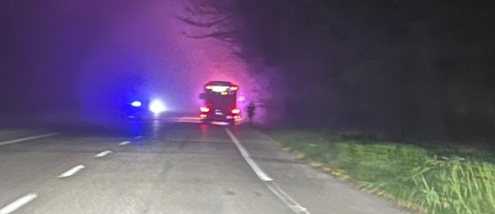 Incidente tra autobus e capriolo a Montegiorgio: una passeggera medicata, animale deceduto