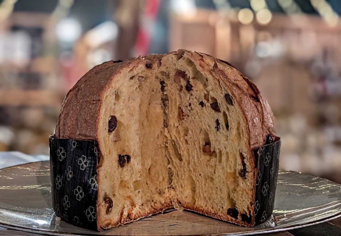 L’Aquila celebra il Natale con una guida ai panettoni artigianali dell’Abruzzo