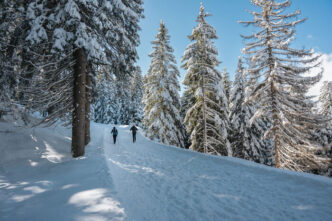 L27Inverno A Lana3A Nevicate2C Ga