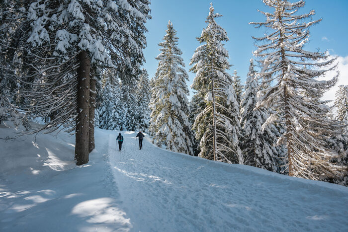 L’inverno a Lana: nevicate, gastronomia e tradizioni nella splendida Alto Adige