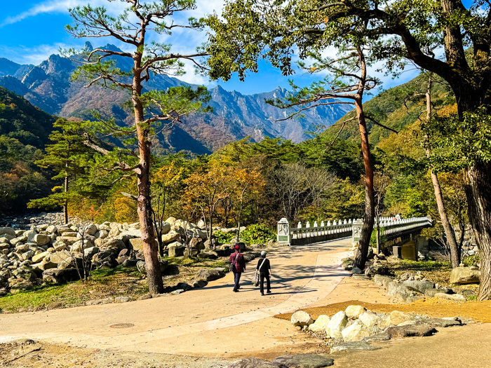 La bellezza autunnale della Corea del Sud: tra natura, cultura e tradizioni