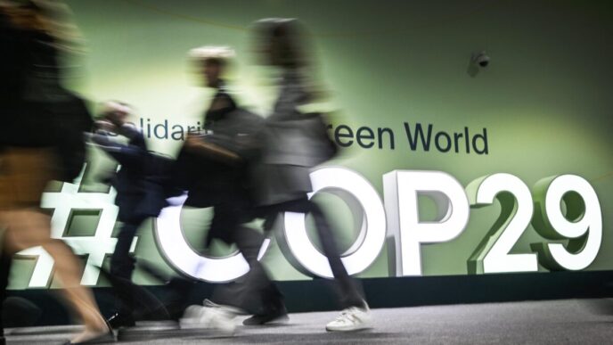 La Finanza Climatica Alla Cop2