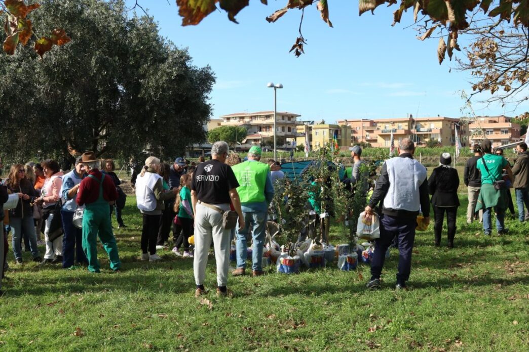 Ladispoli Celebra La 9C2B0 Edizio