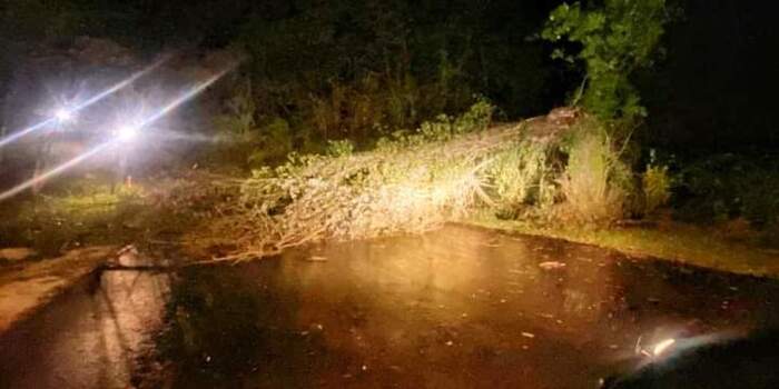 Maltempo in Abruzzo: alberi caduti e disagi sulla rete ferroviaria