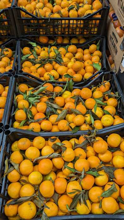 Mercato degli Alimenti: Prezzi e Trend della Stagione Fredda sulle Borse della Spesa