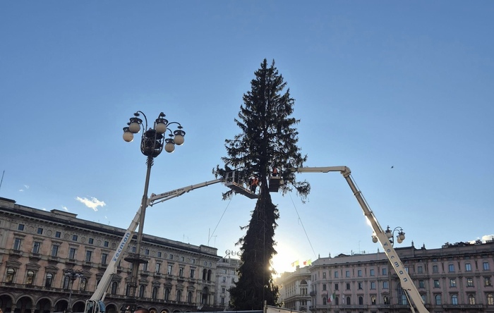 Milano accoglie il grande abete di Natale in piazza Duomo, dedicato alle Olimpiadi