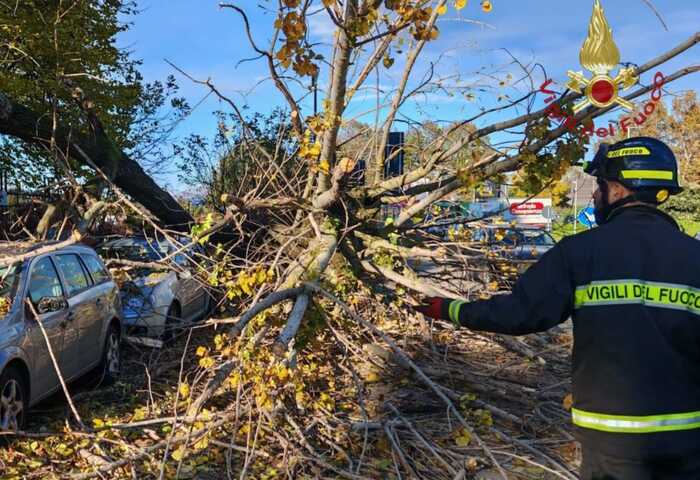 Milano colpita da forti raffiche di vento: danni e interventi dei vigili del fuoco