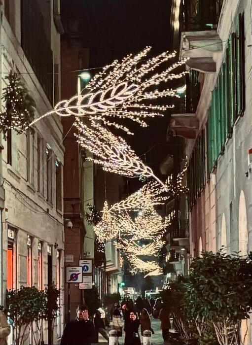 Milano si prepara al Natale: evento di beneficenza in via della Spiga con Ralph Lauren