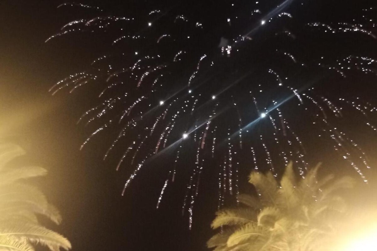 Movimento 5 Stelle Pescara propone divieto di fuochi d’artificio: un passo verso la tutela animale e ambientale