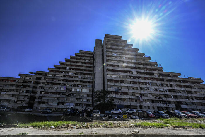 Napoli, la LAV chiede di proteggere i gatti prima della demolizione delle Vele di Scampia