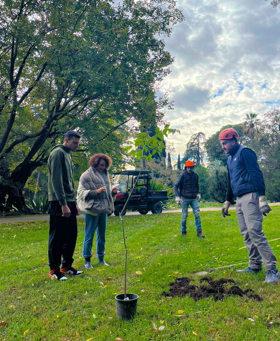 Nella giornata nazionale dell’albero, nuovi esemplari piantati al Giardino Inglese della Reggia di Caserta