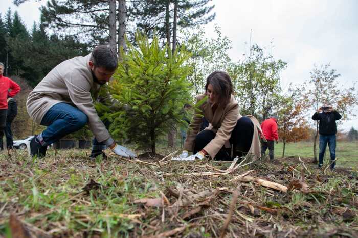 Nespresso e Legambiente avviano il progetto per rinaturalizzare le foreste in Toscana