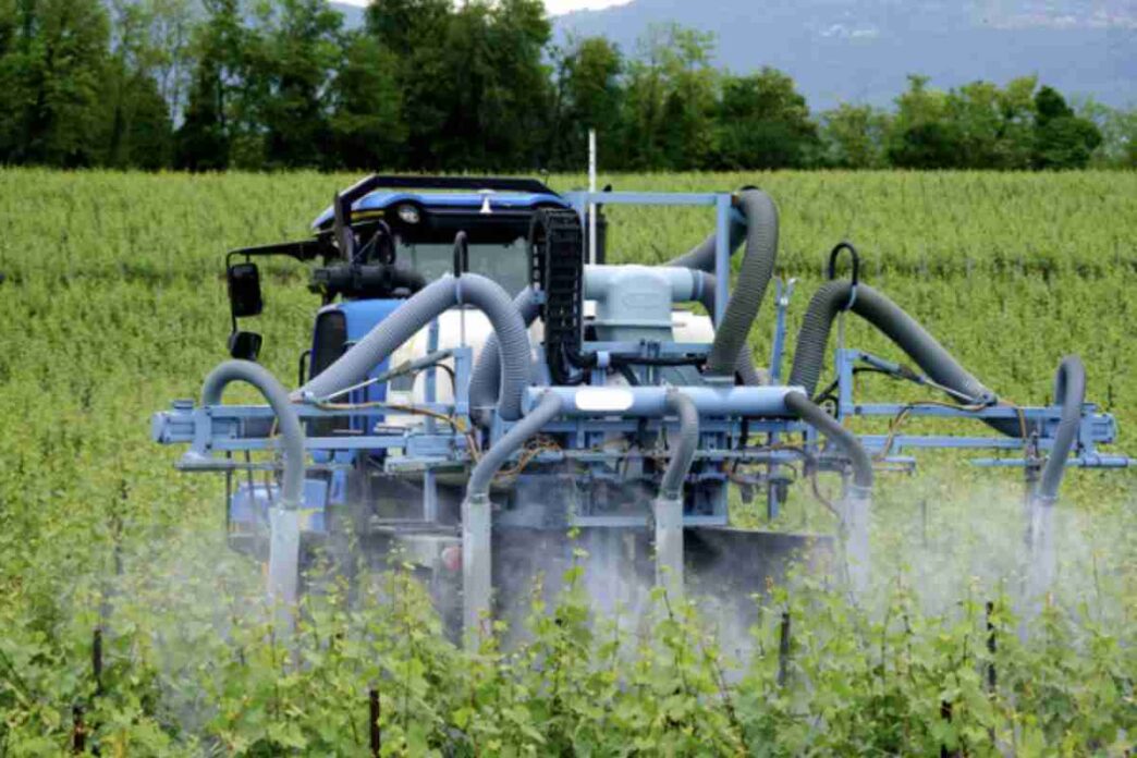 Prodotto Usatissimo A Tavolo A Rischio Pesticidi