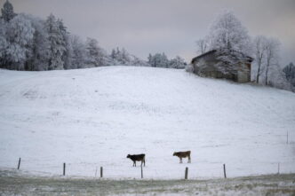 Piani Di Luzza3A Partenza Della