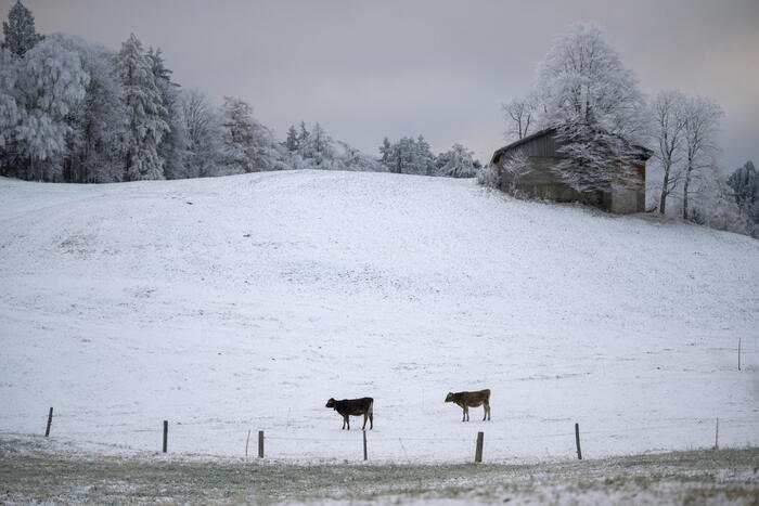 Piani di Luzza: partenza della stagione sciistica con neve conservata grazie a nuove tecnologie