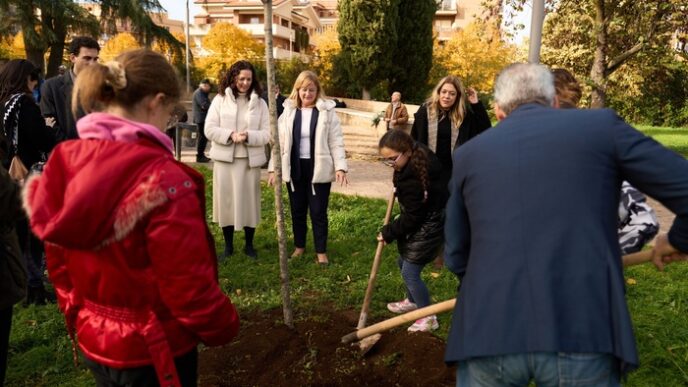 Piantati 240 Nuovi Alberi Nel