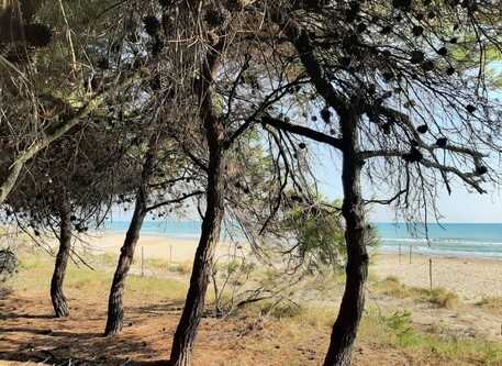 Presentazione del brand “Riviera del Gigante”: un nuovo volto per il turismo abruzzese