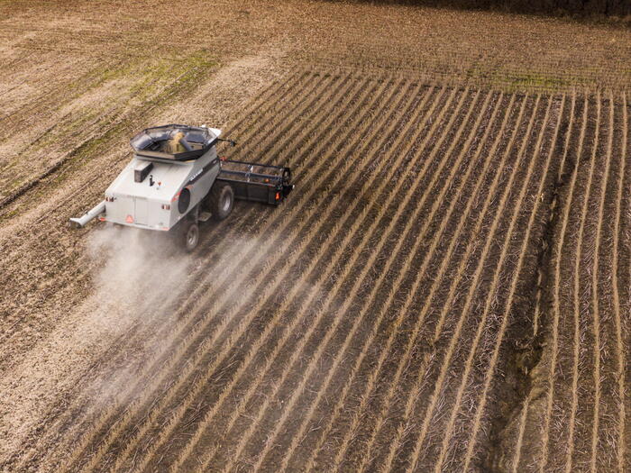 Prezzi in caduta libera per la soia italiana: preoccupazioni per agricoltori e mercato