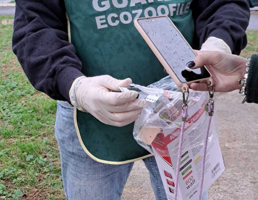 Rimosse siringhe abbandonate nei giardini di via Claudia a Ladispoli: l’intervento delle guardie ecozoofile