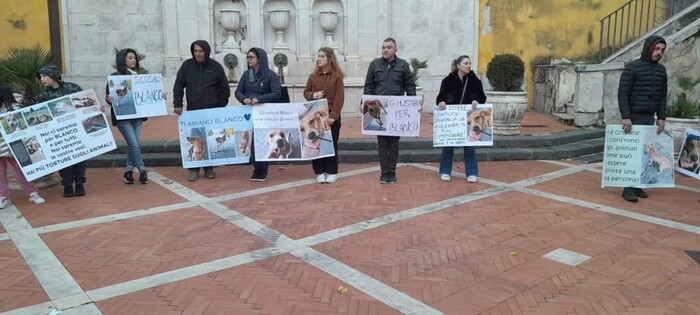 Sala Consilina in lutto: manifestazione per la giustizia di Blanco, il cane vittima di violenza